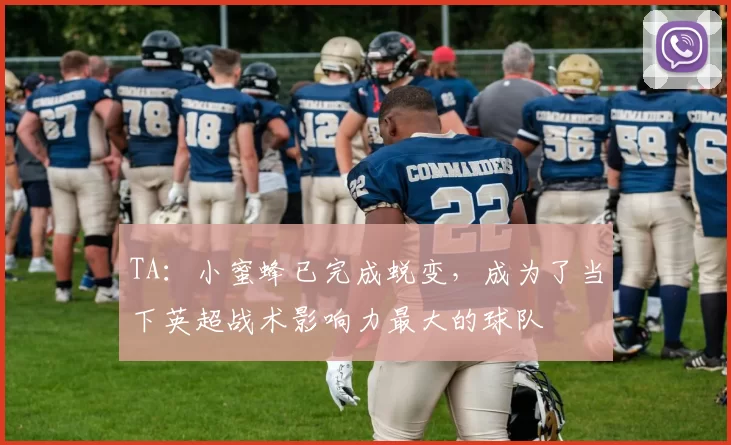 TA：小蜜蜂已完成蜕变，成为了当下英超战术影响力最大的球队