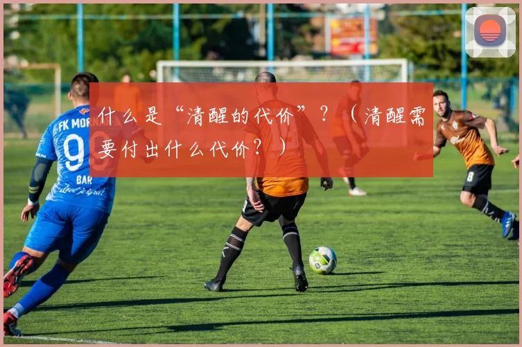 什么是“清醒的代价”？（清醒需要付出什么代价？）