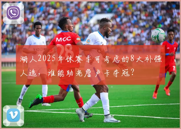 湖人2025年休赛季可考虑的8大补强人选，谁能助老詹卢卡夺冠？